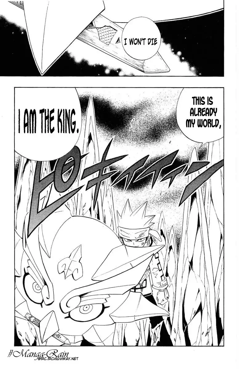 Shaman King Chapter 184 20